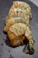 Shrimp - Cilantro Lime