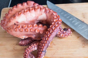 Spanish Octopus