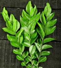 Curry Leaves EACH PACK