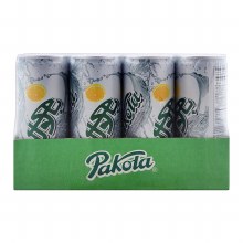 LIME SODA CAN 250ml x12pk