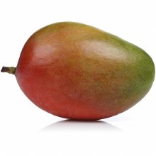 Mango  Kent EA