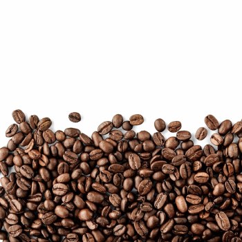 Phoenicia Light Roast Coffee Beans