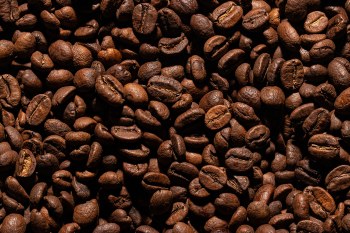 Phoenicia Costa Rican Tarrazu Coffee Beans