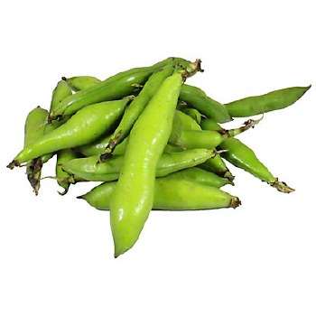 Phoenicia Fresh Green Fava Beans