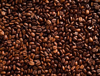Guatemalan Antigua Coffee Beans