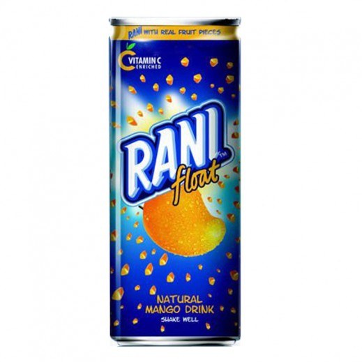 Rani Float Mango Drink 8oz Phoenicia Specialty Foods