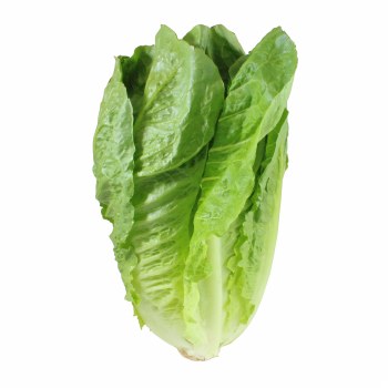 Phoenicia Romaine Lettuce (each)