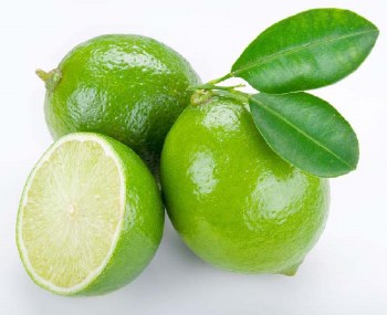 Phoenicia Limes Fresh