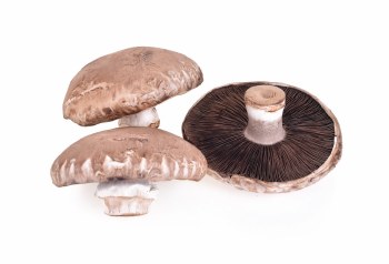 Phoenicia Portabella Mushrooms