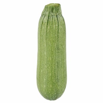 Phoenicia Squash Fresh