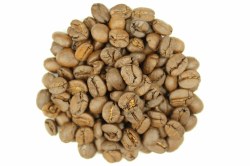 Phoenicia Brazilian Bourbon Santos Coffee Beans