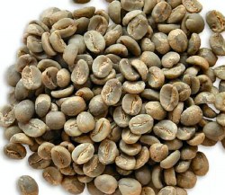 Phoenicia Green Coffee Beans