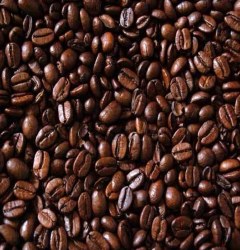 Phoenicia Espresso Delight Coffee Beans