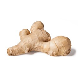 Phoenicia Ginger Root