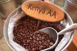 Phoenicia Kenya AA Coffee Beans