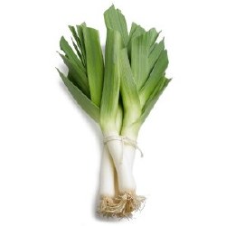 Phoenicia Fresh Leek Bunch