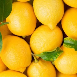 Phoenicia Fresh Sweet Lemons