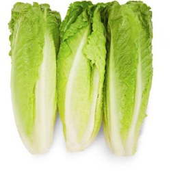 Phoenicia Romaine Lettuce Hearts 3 pack