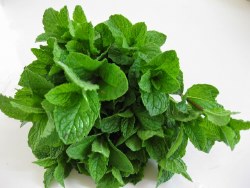 Phoenicia Fresh Mint (Bunch)