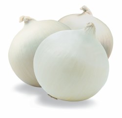 Phoenicia Onions White Medium