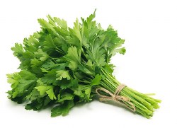 Phoenicia Parsley Straight Leaf (bunch)