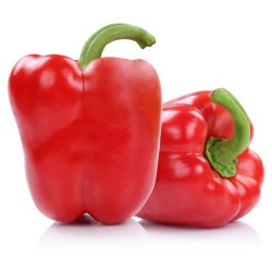 Phoenicia Peppers Bell Red