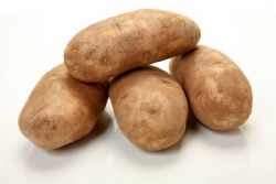 Phoenicia Potatoes Russet