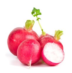 Phoenicia Radishes Fresh