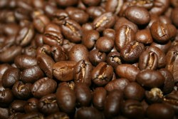 Tanzanian Peaberry Coffee Beans