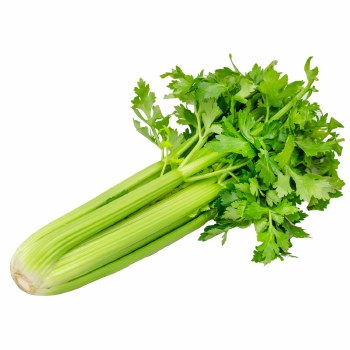 Phoenicia Celery Fresh (each)