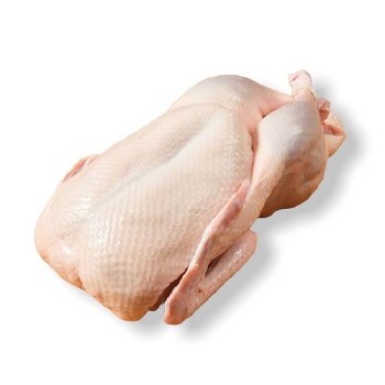 Phoenicia Duckling Young Halal