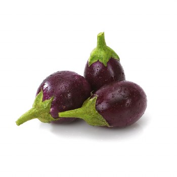 Phoenicia Eggplant Indian