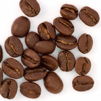 Phoenicia Mexican Altura Coatepec Coffee Beans