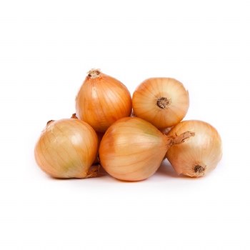 Phoenicia Onions Yellow