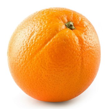 Phoenicia Valencia Oranges