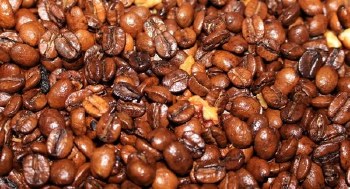 Phoenicia Southern Pecan Coffee Beans