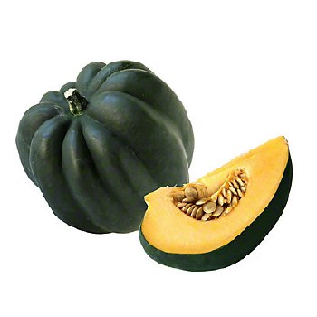 Phoenicia Squash Acorn