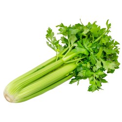 Phoenicia Celery Fresh (each)