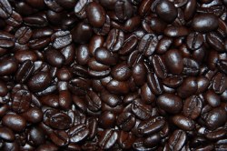 Phoenicia Dark Roast Coffee Beans