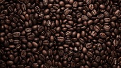 Phoenicia Decaf Coffee Beans