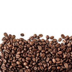 Phoenicia Light Roast Coffee Beans