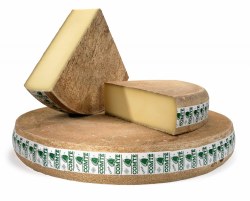 Comte French Cheese