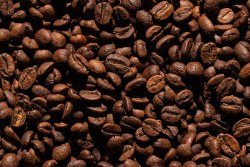 Phoenicia Costa Rican Tarrazu Coffee Beans