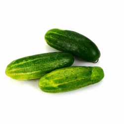 Phoenicia Pickling Cucumbers