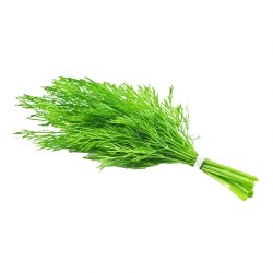 Phoenicia Fresh Dill Bunch