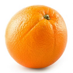 Phoenicia Valencia Oranges