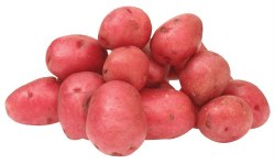 Phoenicia Potatoes Baby Red