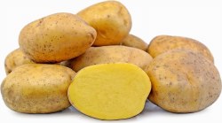 Phoenicia Potatoes Yukon Gold