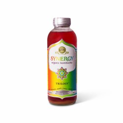 Synergy Kombucha Trilogy Drink Organic 16oz