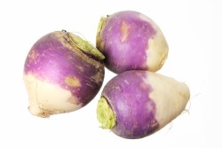 Phoenicia Turnips Fresh